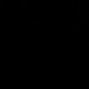 Meet your Posher, Regina